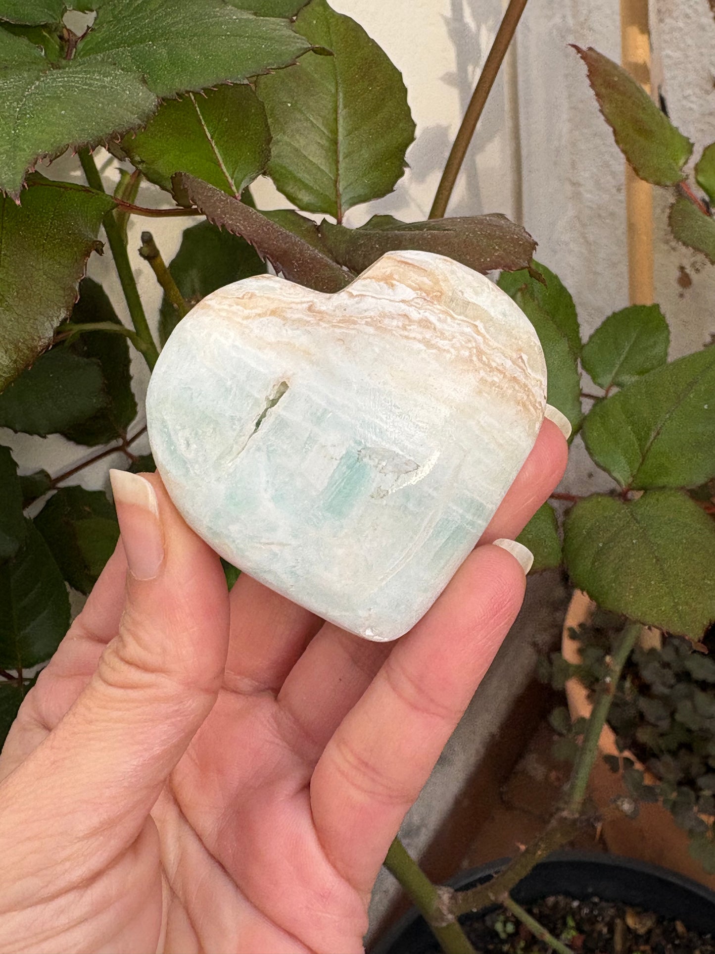 Corazón aragonito azul