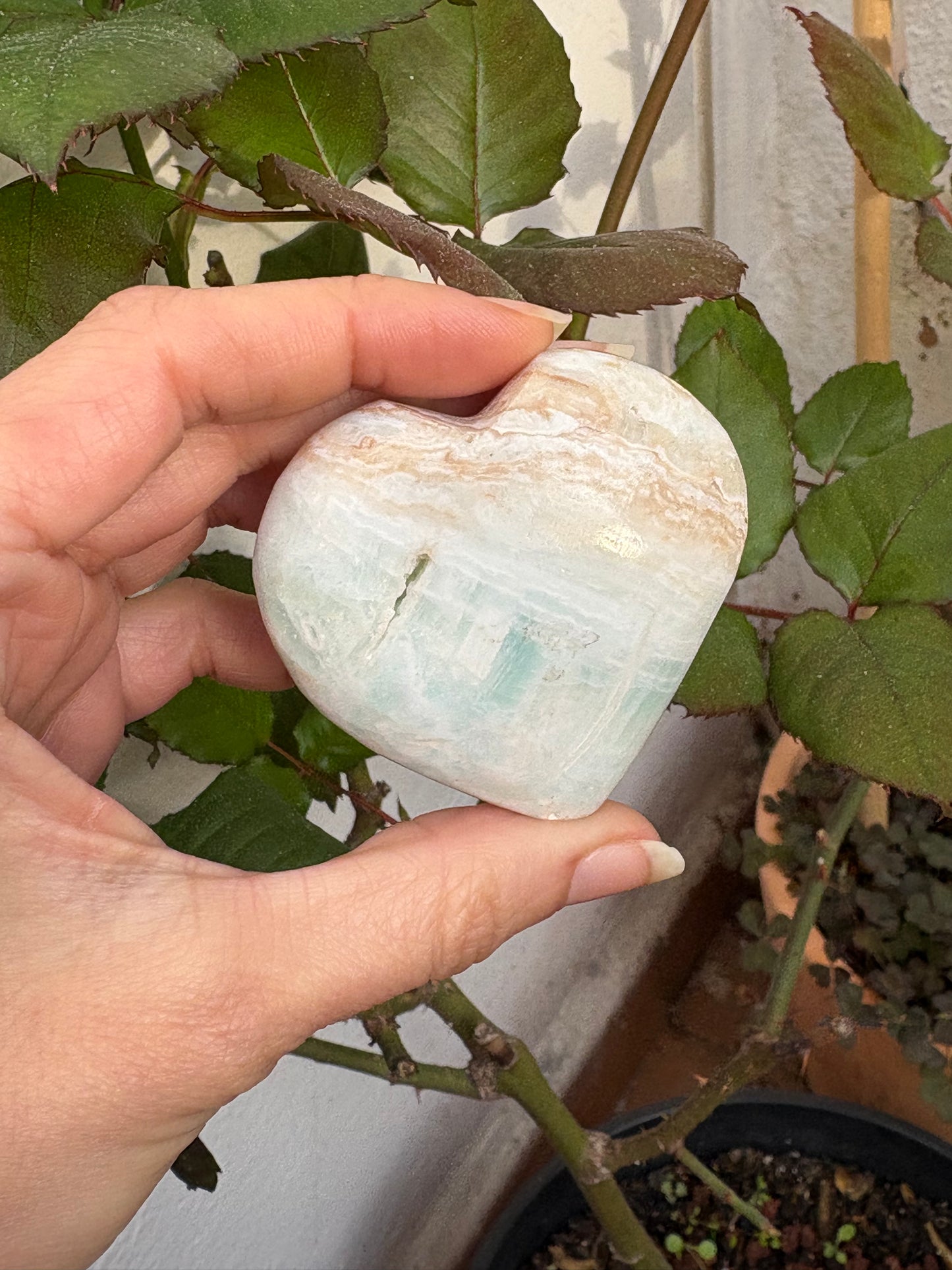 Corazón aragonito azul