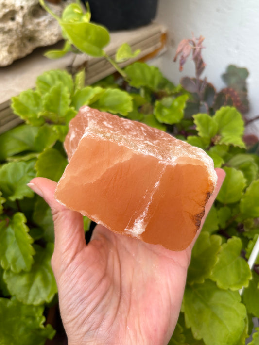 Selenita naranja.